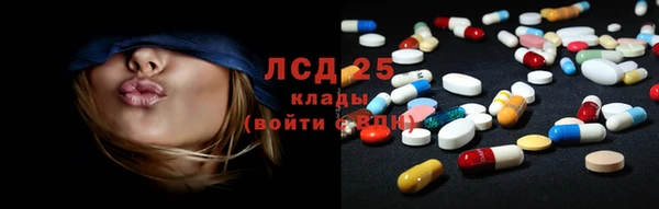 крисы Дмитровск