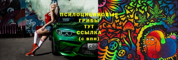 дживик Дмитриев