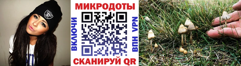 Галлюциногенные грибы MAGIC MUSHROOMS  Купить где  Малоярославец 